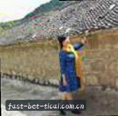 黄磊
